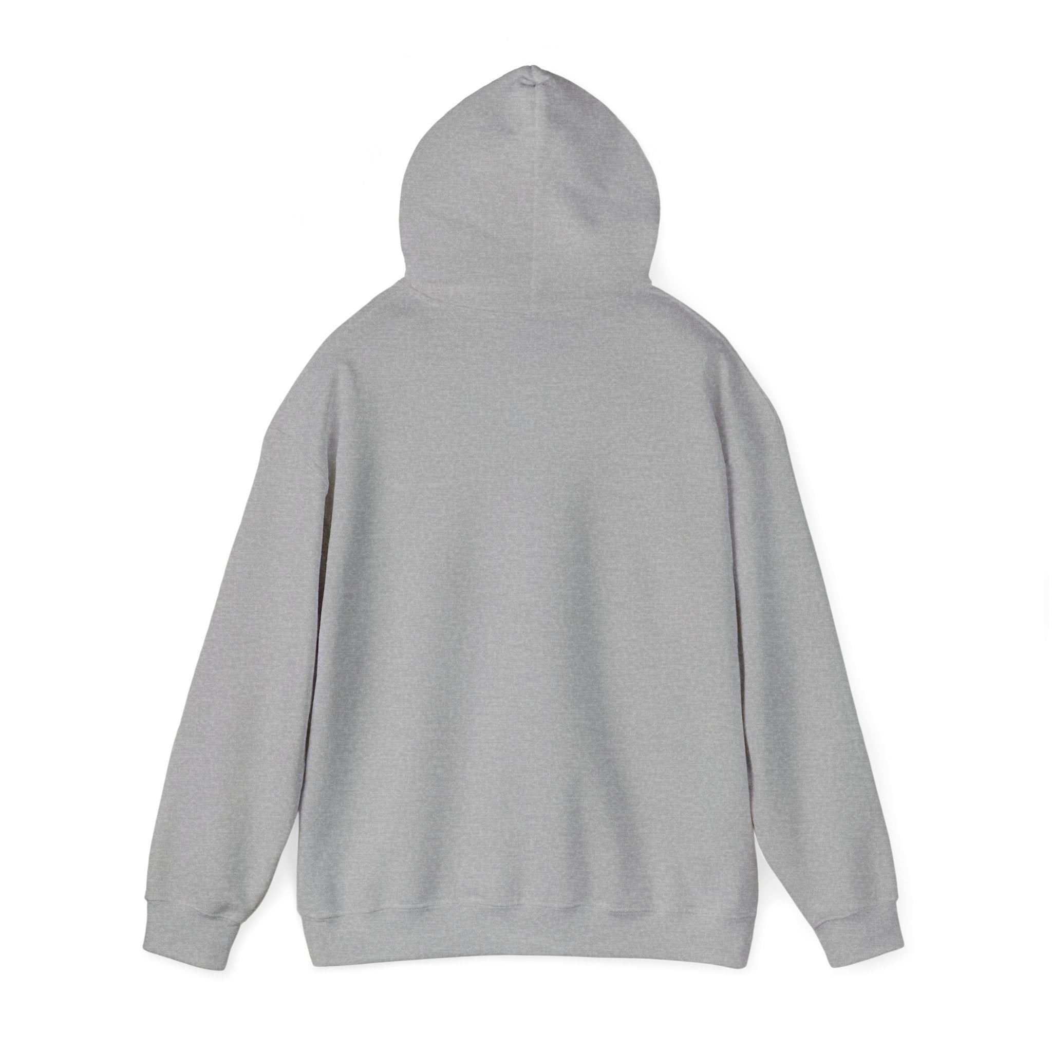 Unisex Heavy Blend™ Hoodie – 