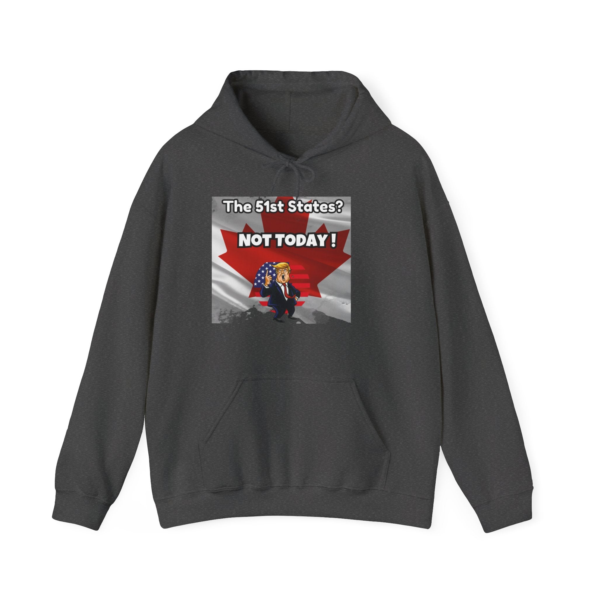 Unisex Heavy Blend™ Hoodie – 